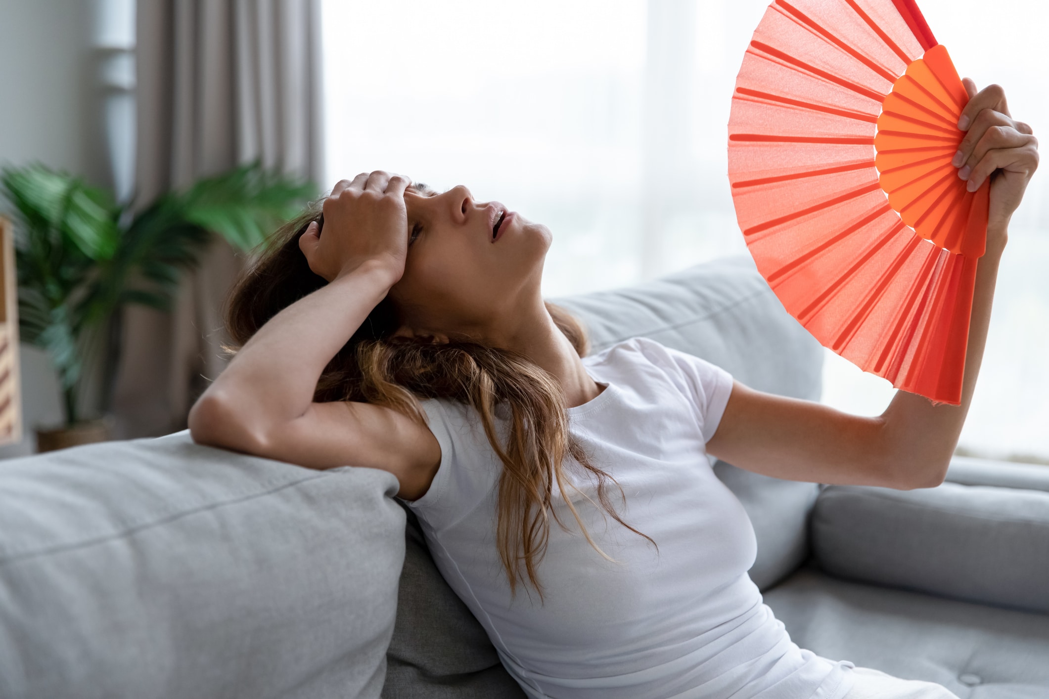 Featured image for “The Ultimate Guide to Managing RI Humidity”