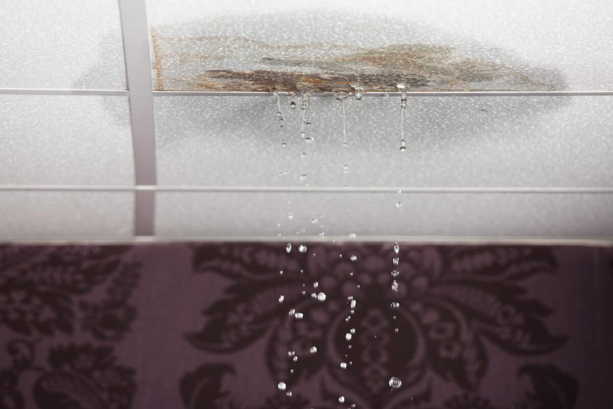 Featured image for “Post-Winter Pipe Assessment: Finding Damage Before It Becomes a Disaster”