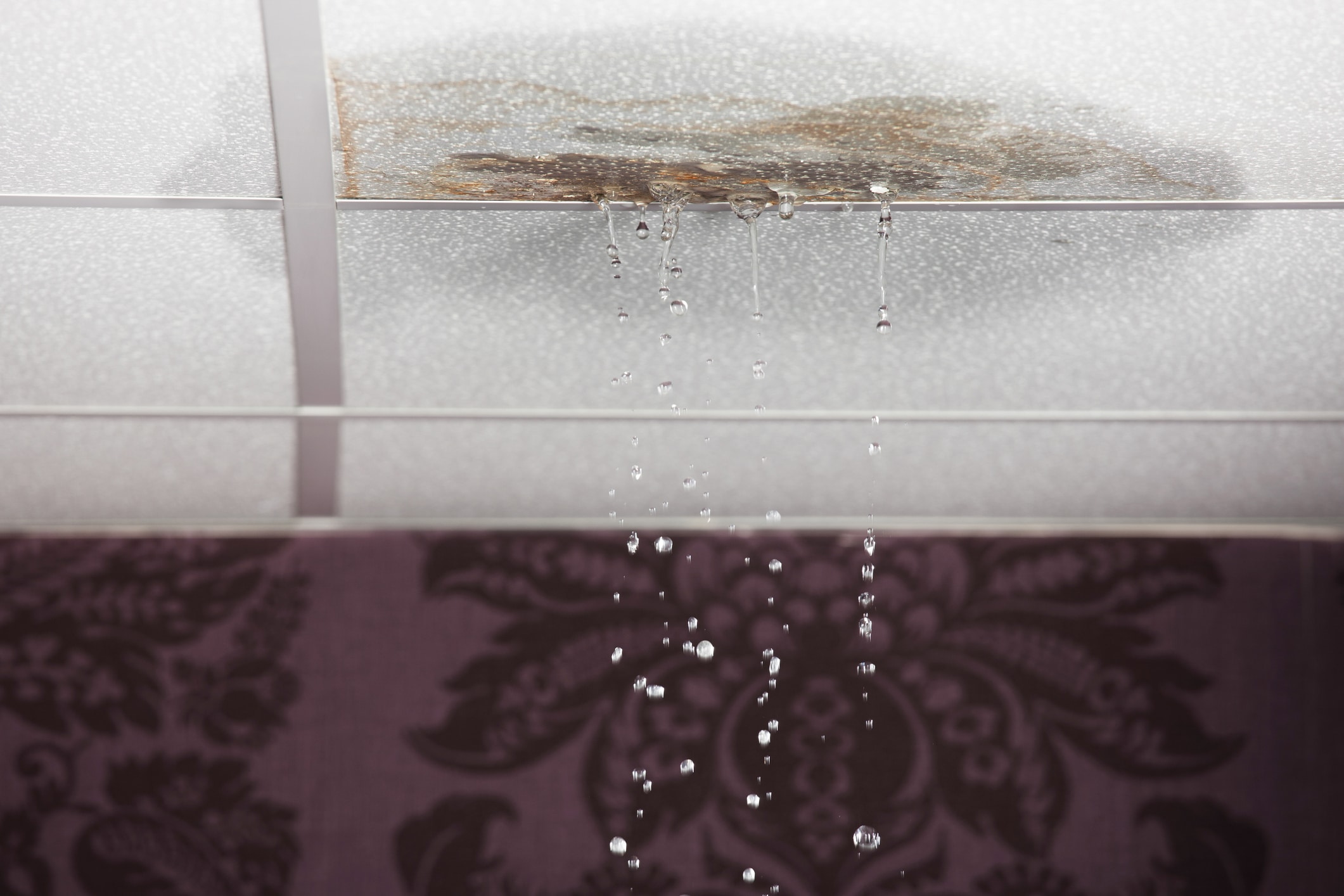 Featured image for “Post-Winter Pipe Assessment: Finding Damage Before It Becomes a Disaster”