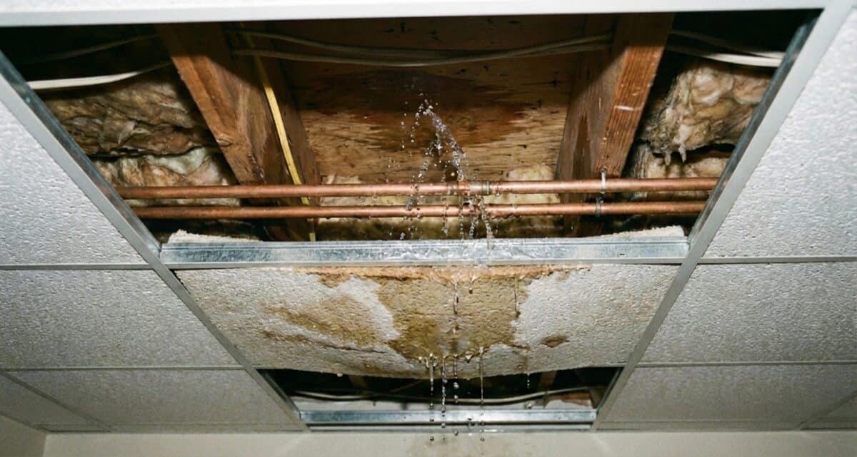 Featured image for “Frozen Pipes: What Homeowners Should Know (And How to Prevent Costly Damage)”